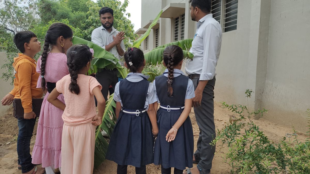 Social Responsibility